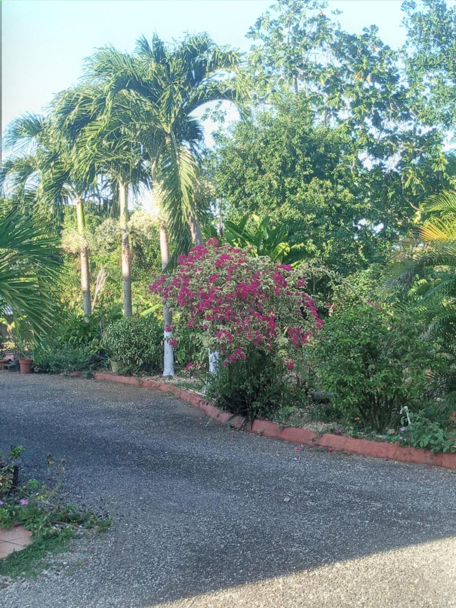 Boni Chateau Vacation Spot Is A One Bedroom Self-Contained Apartment For Travelers Needing To Be In Tune With Nature Discovery Bay Buitenkant foto